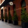 The Mercer