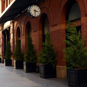 The Mercer